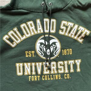 Champion CSU Dark Green Hoodie
